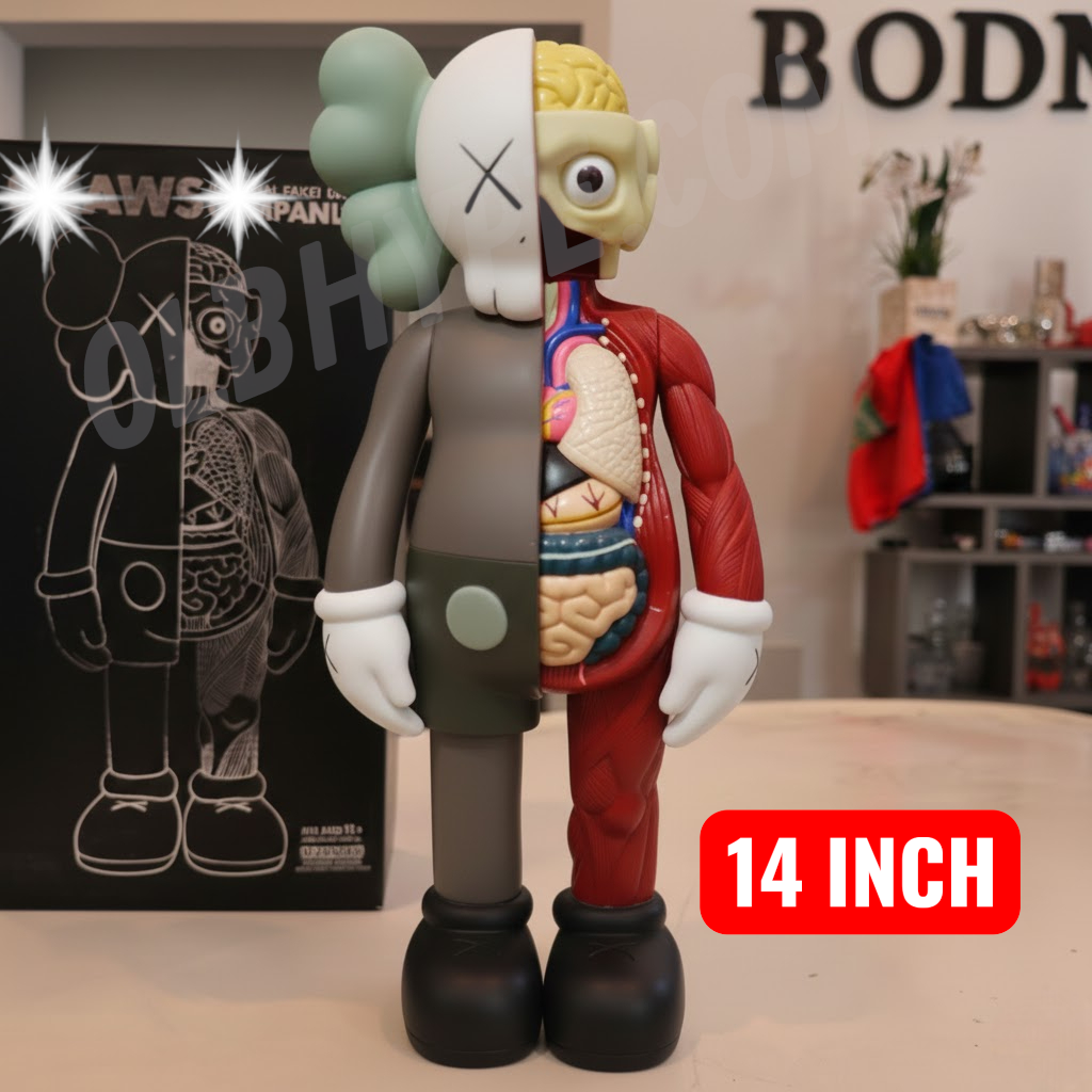 XX Kawed Inspired Anatomical Flayed Series Edition | 1:1 Premium Vinyl Art Toy