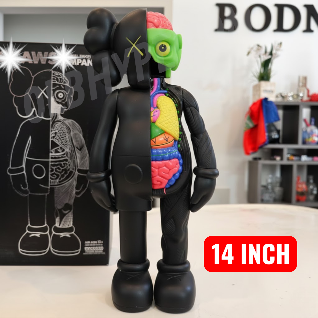 XX Kawed Inspired Anatomical Flayed Series Edition | 1:1 Premium Vinyl Art Toy